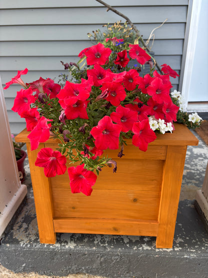 Cedar Planter Box